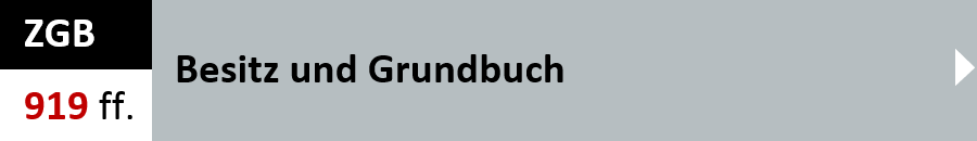 ZGB Artikel 919 ff. - Besitz und Grundbuch